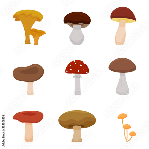 Vector cartoon mushrooms. Poisonous and edible mushrooms. Set of wild mushrooms. Vector illustration.