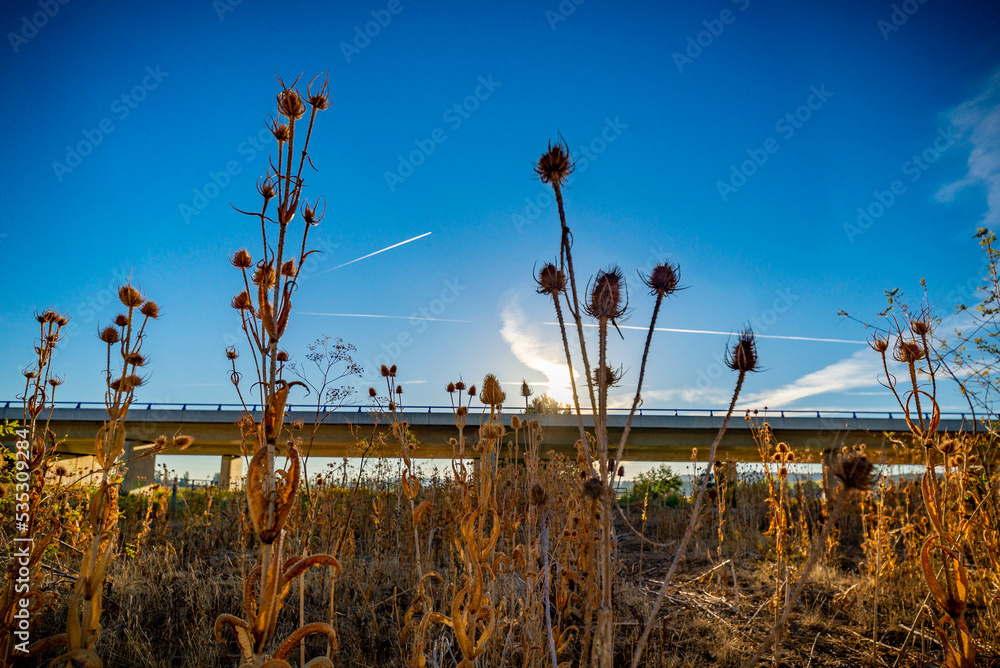 Valladolid ciudad histórica y monumental de la vieja Europa Stock Photo