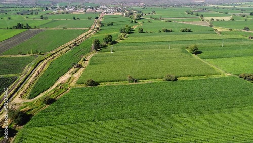 Aerial view of corn fields in a rural area at sunset with rivers photo