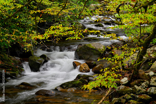 Cascades in the middle prong of the Little Pigeon River at Great Smoky Mountains  TN  USA