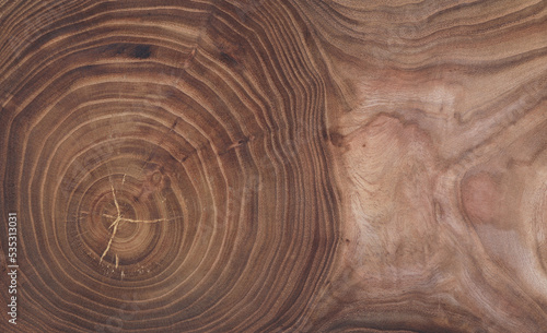 annual rings on a cross section of a brown tree