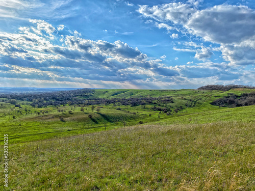 landscape with green field and sky