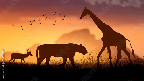 World Wildlife Day  Groups of wild beasts were gathered in large herds in the open field in the evening when the golden sun was shining.