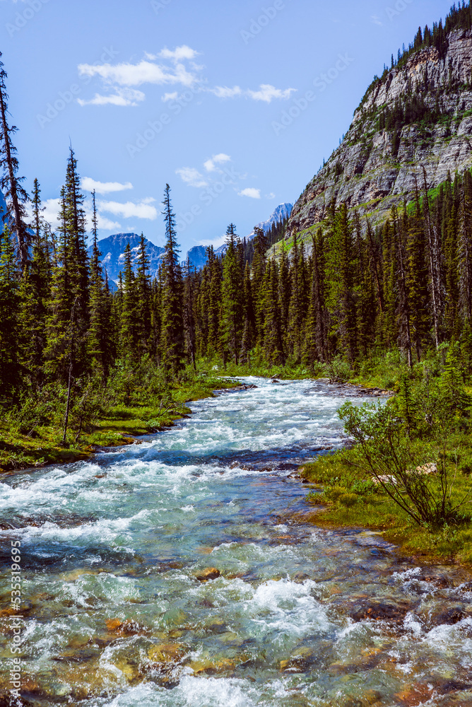 Hiking to Lake Annette in Banff National Park, passing forests and rivers Hiking to Lake Annette in Banff National Park, passing forests and rivers