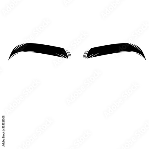 Eyebrow vector element