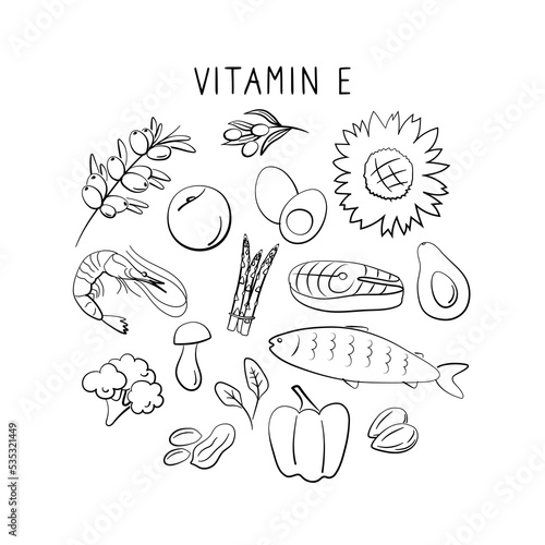 Vitamin E tocopherol. Groups of healthy products containing vitamins. Set of fruits, vegetables, meats, fish and dairy