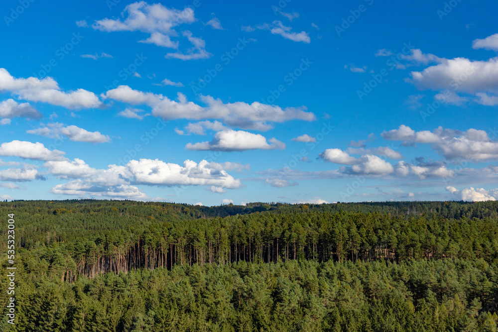 Green coniferous forest and blue sky above it.