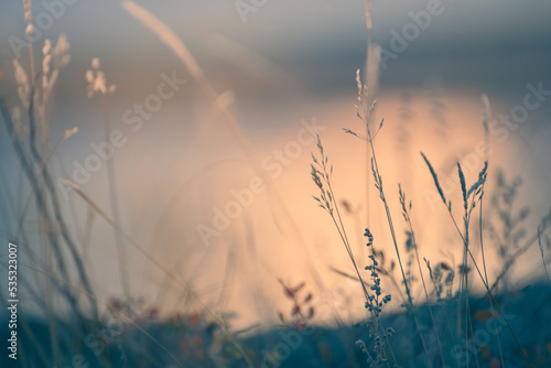 Dry autumn grass on the shore of the lake at sunset. Abstract nature background. Macro image