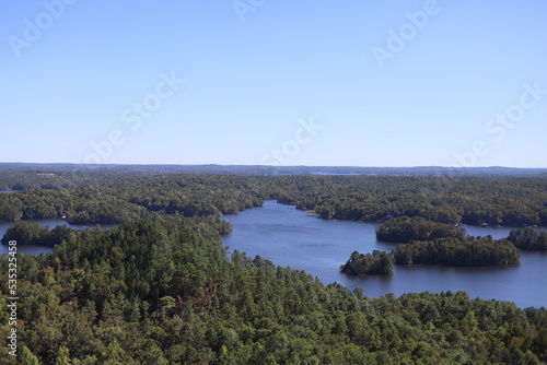 lake in the forest