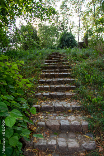 Old stone stairs in green nature