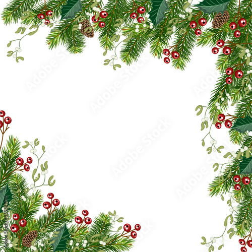 Christmas fir border with berries and mistletoe