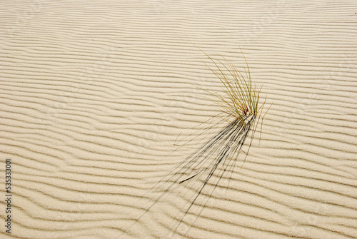 Sand dune