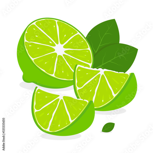 Citrus lime with leaves, lime slices, vector