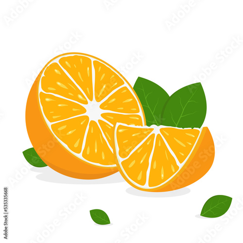Citrus orange with leaves, orange slices, vector
