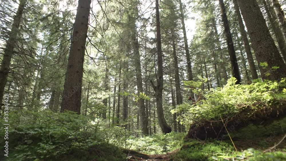 A man runs in a mountain forest. Trail of a boy on the edge of nature. The concept of a marathon and a healthy lifestyle. Slow motion video of running in a beautiful landscape. High quality 4k footage A man runs in a mountain forest. Trail of a boy on the edge of nature. The concept of a marathon and a healthy lifestyle. Slow motion video of running in a beautiful landscape. High quality 4k footage