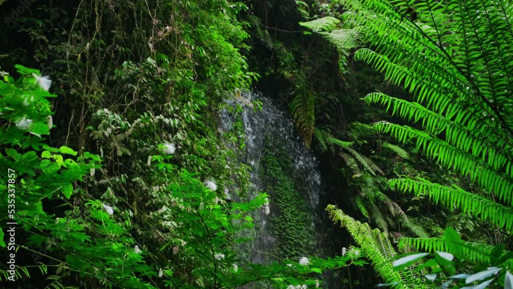 waterfall with rocks among tropical jungle with green plants and trees and water falling down