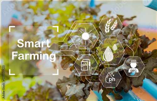 Wallpaper Mural Smart Farming, the new innovation of farming, cultivating, growing vegetables. Torontodigital.ca