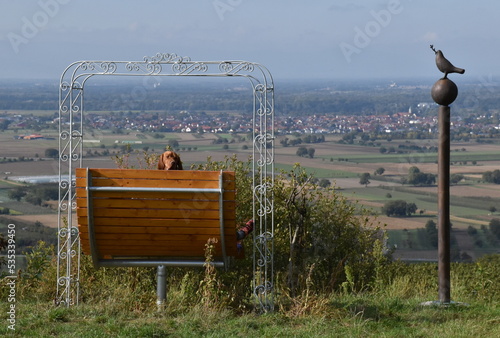 Hund auf einer Aussichtsbank in Endingen 