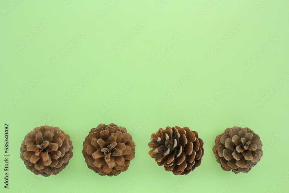 Pine fir cones of coniferous tree isolated on green background. Creative christmas holiday composition. Decoration for postcard. Top view, copy space, flat lay, close up Pine fir cones of coniferous tree isolated on green background. Creative christmas holiday composition. Decoration for postcard. Top view, copy space, flat lay, close up