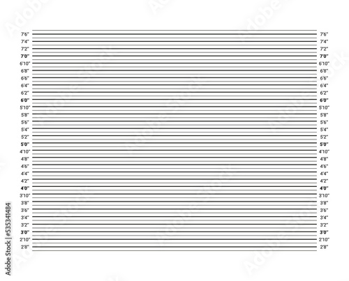 Mugshot board template. Police wall measurements for wanted picture. Mug shot criminal background with lines in inches. Lineup backdrop. Identification frame for crime arrest. Vector illustration.