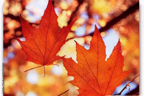 Beautiful autumn leaves on autumn red background sunny daylight horizontal toning