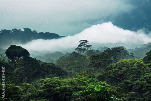 Green cloud forest foliage aerial view woodland tree canopy