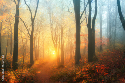 Autumn forest in warm sunlight