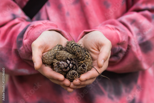 Young man in pink pullover holds in his hands a handful of dry pine cones in the autumn forest. Eco decor from forest.