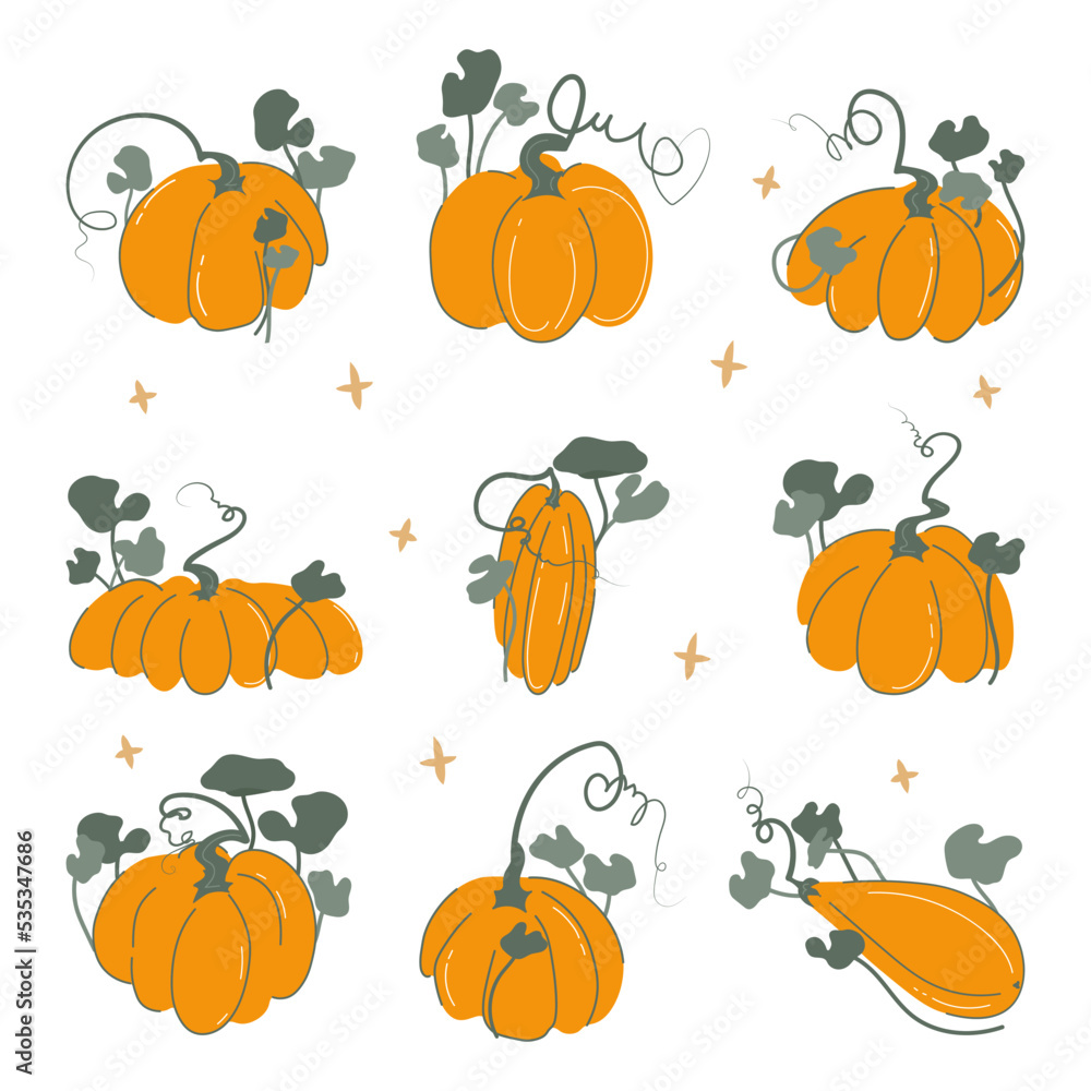 Pumpkins set vector illustration with stars Collection of Halloween and Thanksgiving day elements Flat doodle style design All objects are isolated on white background Pumpkins set vector illustration with stars Collection of Halloween and Thanksgiving day elements Flat doodle style design All objects are isolated on white background