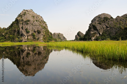 Roseaux et montagnes dans la réserve naturelle de Van Long près de Ninh Binh, Vietnam