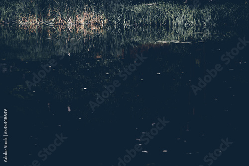 Dunkler See im Wald mit Schilf Ufer photo