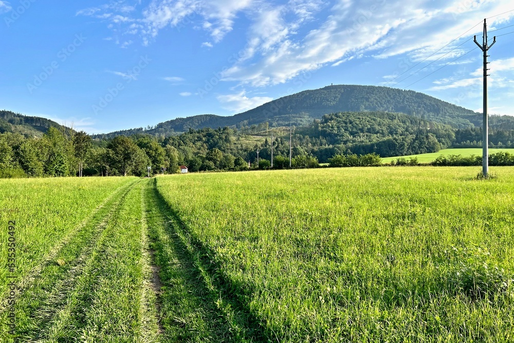 summer landscape around the village of Bordovice under the Velky Javornik mountain