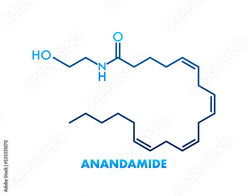 Anandamide concept chemical formula icon label, text font vector illustration