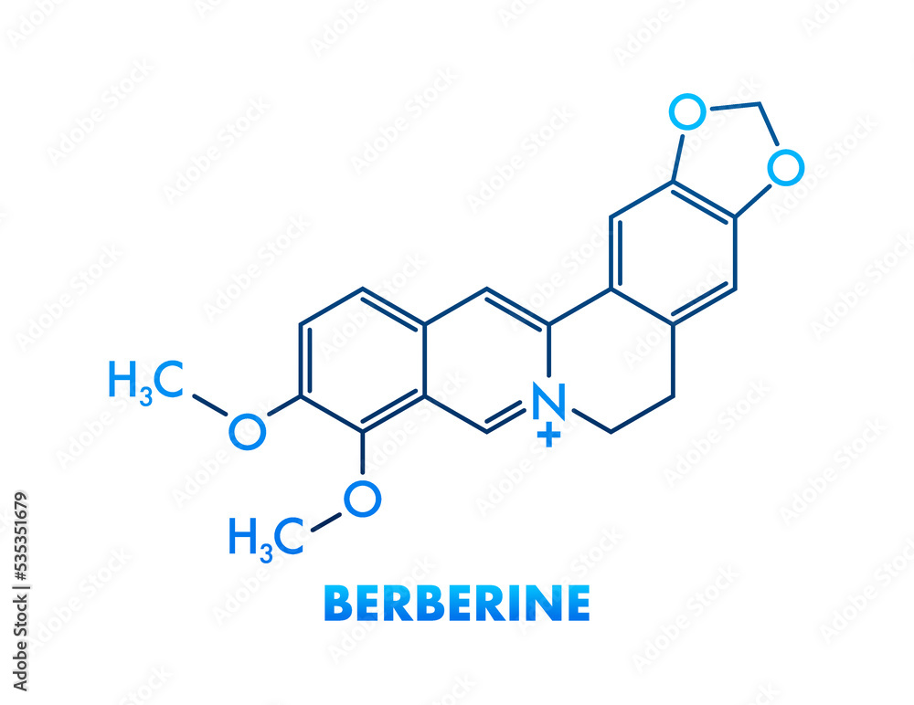 Berberine concept chemical formula icon label, text font vector illustration Berberine concept chemical formula icon label, text font vector illustration