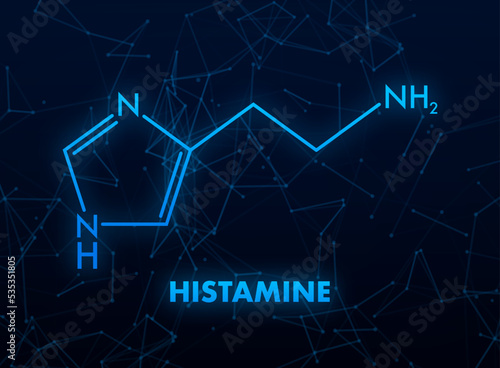 Histamine concept chemical formula icon label, text font vector illustration