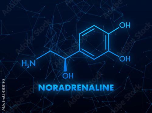Noradrenaline concept chemical formula icon label, text font vector illustration photo