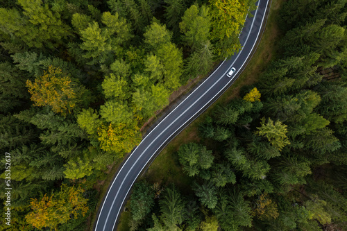 winding mountain road in a green forest (aerial view)