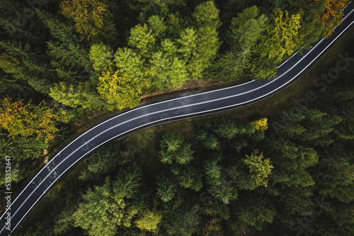 winding mountain road in a green forest (aerial view) © ptyszku