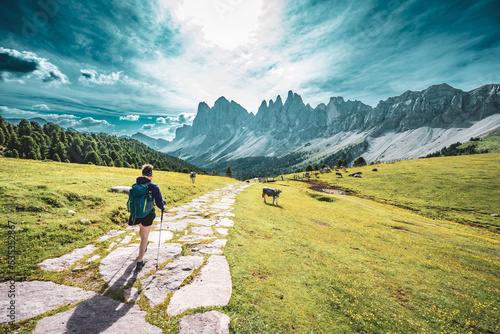 Athletic woman walks along beautiful hike trail at Seceda with brown white patterned dolomites cows in the morning. Seceda, Saint Ulrich, Dolomites, Belluno, Italy, Europe. photo
