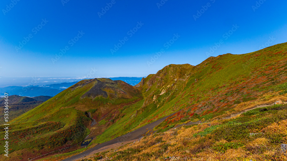 Fototapeta premium 秋田駒ヶ岳 紅葉 登山 絶景