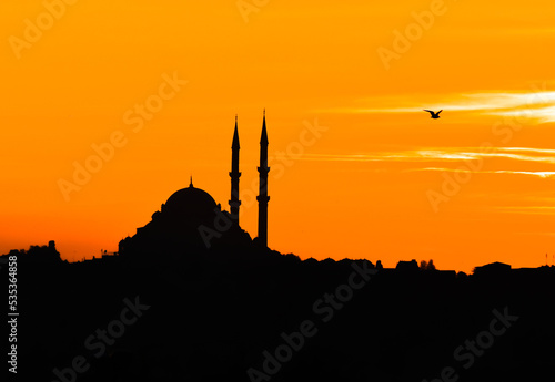 Mosque silhouette and bird silhouette at sunset istanbul, Turkey