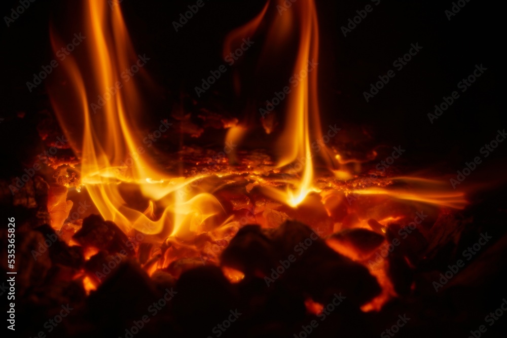 Fototapeta premium Camp Fire Flames