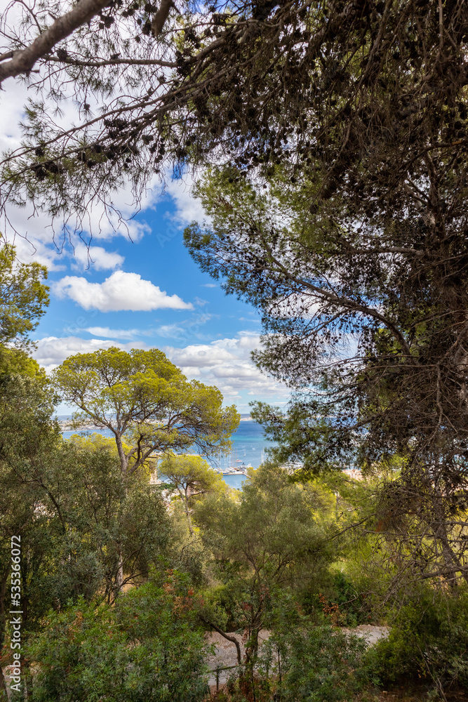 Weg zum Castell de Bellver | Burg | Palma de Mallorca | Spanien | Weg zum Castell de Bellver | Burg | Palma de Mallorca | Spanien |