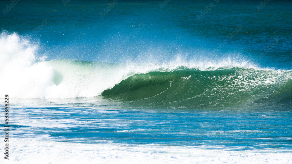 Fototapeta premium open face wave