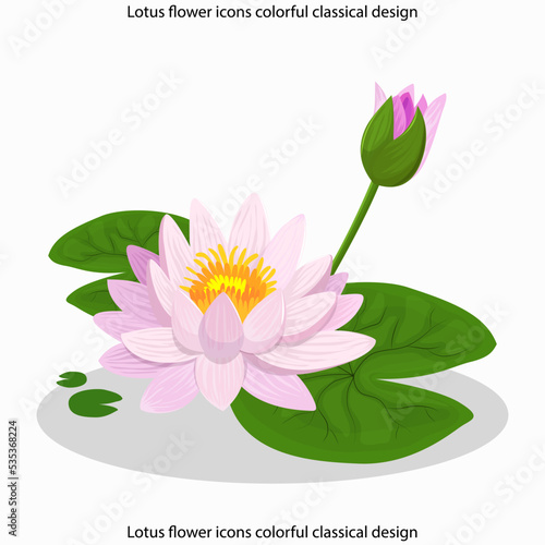 Lotus flower icons colorful classical design