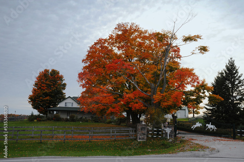 Farmer's house in the autumn day