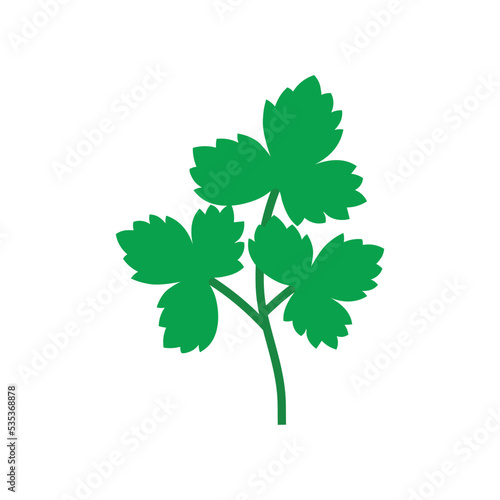 Parsley leaf icon vector