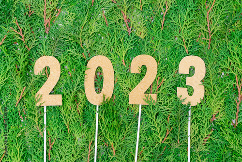 Flat lay of 2023 gold glitter numbers on fresh green leaves. Happy new year concept and go green idea