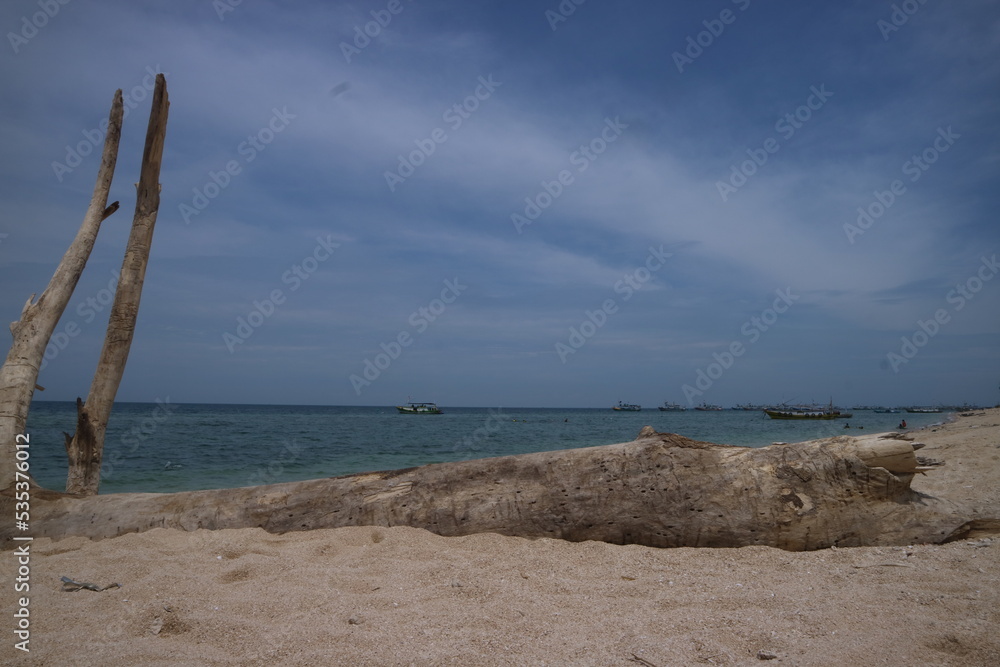 Beautiful view on the beach. Old wood lying on the beach sand with blue sky. Great for dramatic backgrounds