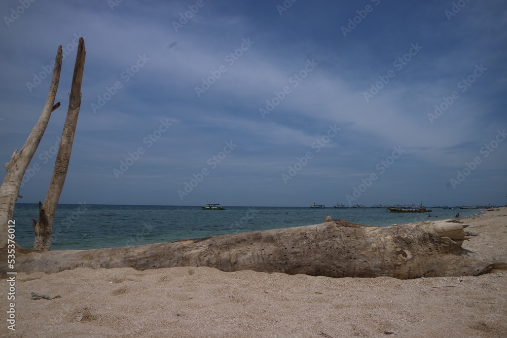 Beautiful view on the beach. Old wood lying on the beach sand with blue sky. Great for dramatic backgrounds Beautiful view on the beach. Old wood lying on the beach sand with blue sky. Great for dramatic backgrounds